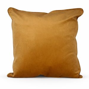 Amber Velvet Cushion