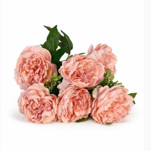 Blush Peony Bundle