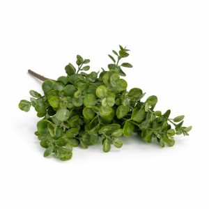Emerald Foliage