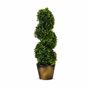 Emerald Twist Topiary