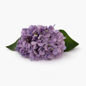 Lavender Cloud Hydrangea