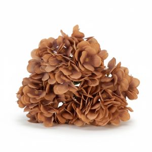 Mocha Hydrangea