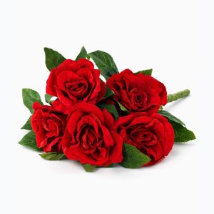 Velvet Rouge Rose Bundle
